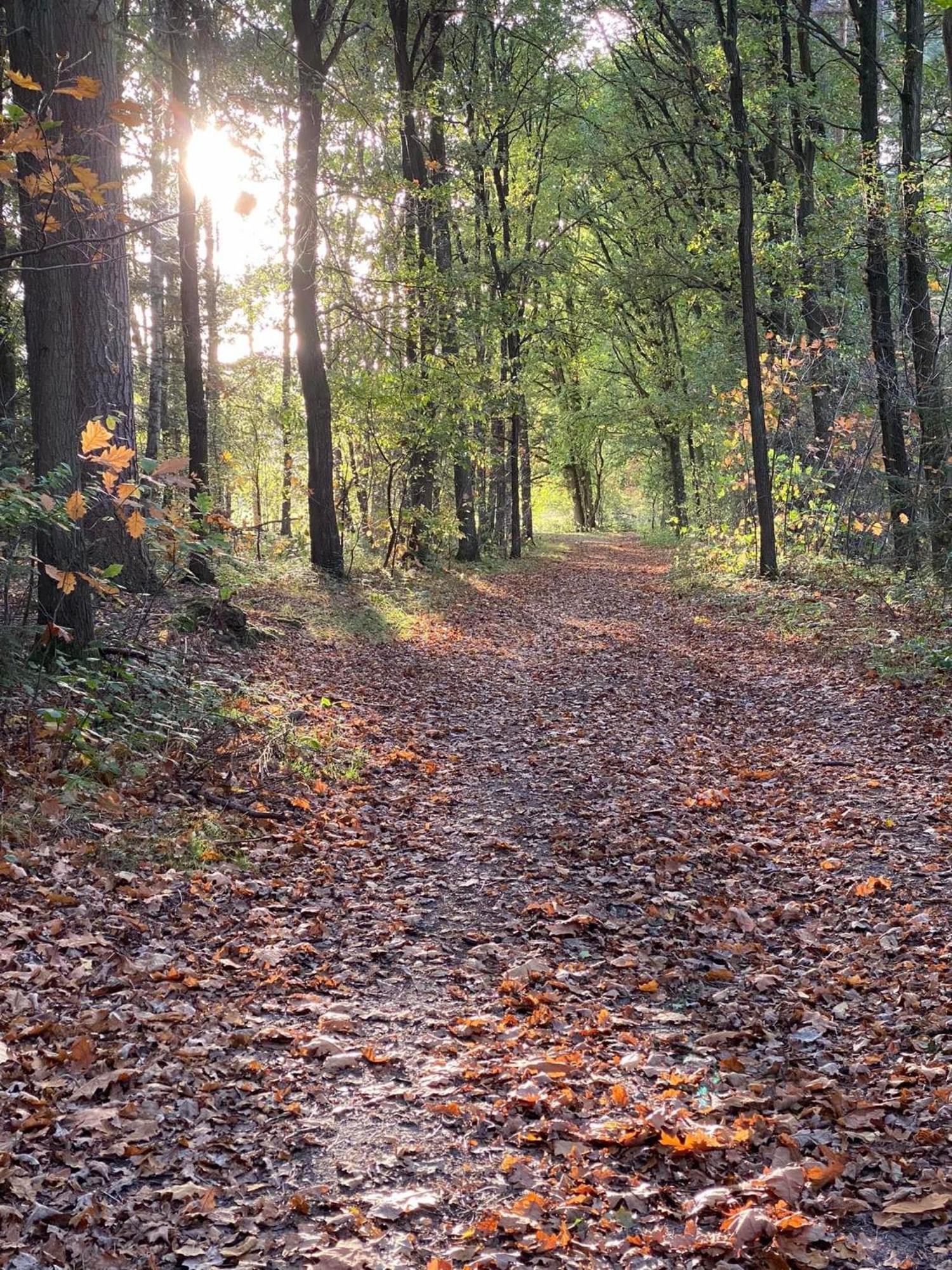 Het Zenhuisje Lanaken Luaran gambar